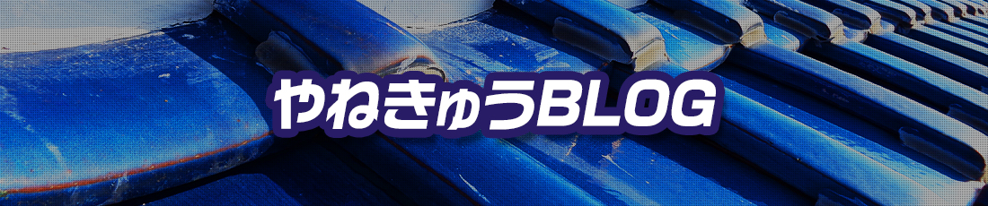やねきゅうBLOG