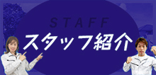 スタッフ紹介