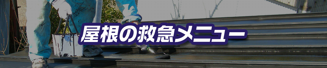 屋根の救急メニュー
