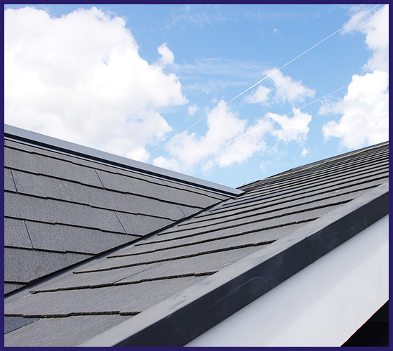 カラーベスト 写真